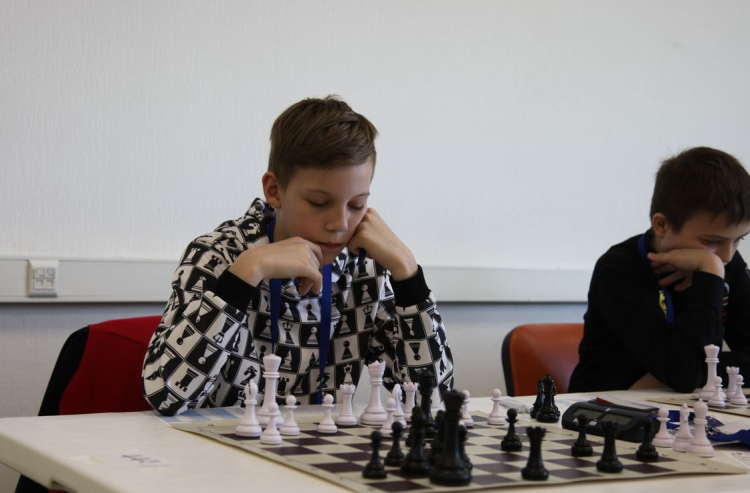 Шахматы - Москва - все виды шахмат - классические - фото51