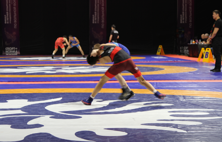 Спартакиада - борьба вольная - фото4