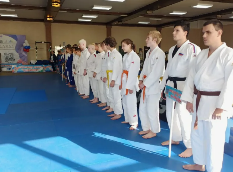 Спартакиада инвалидов - сводка12 - фото2