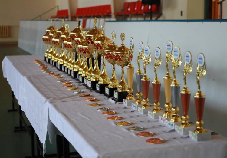 Спартакиада инвалидов - настольный теннис ЛИН - Йошкар-Ола - фото9