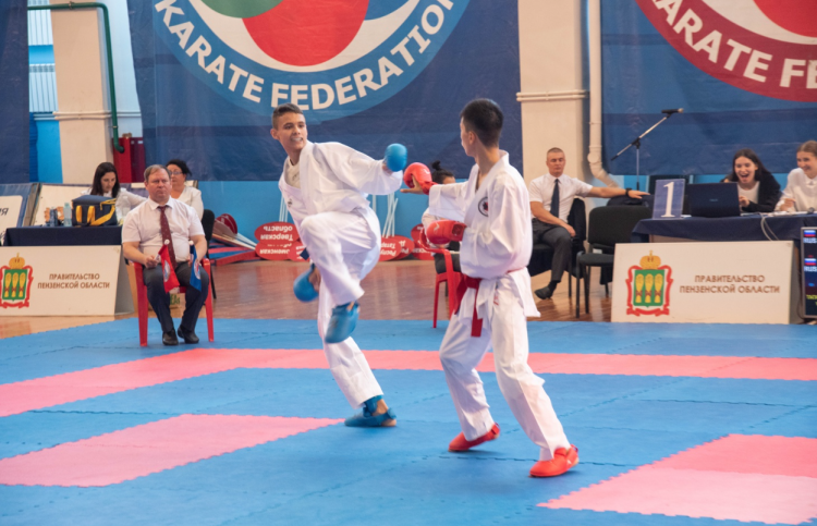 Спартакиада - каратэ Пенза - фото2