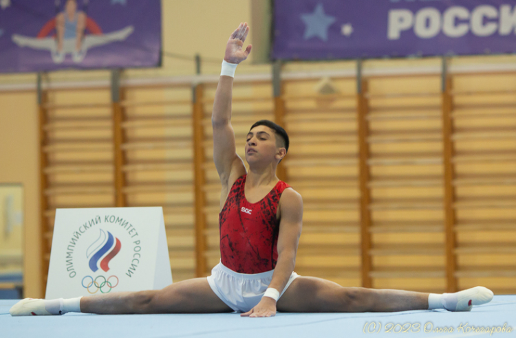 Спортивная гимнастика - Пенза командное - юниоры 14-17 лет юноши 12-13 лет - фото7