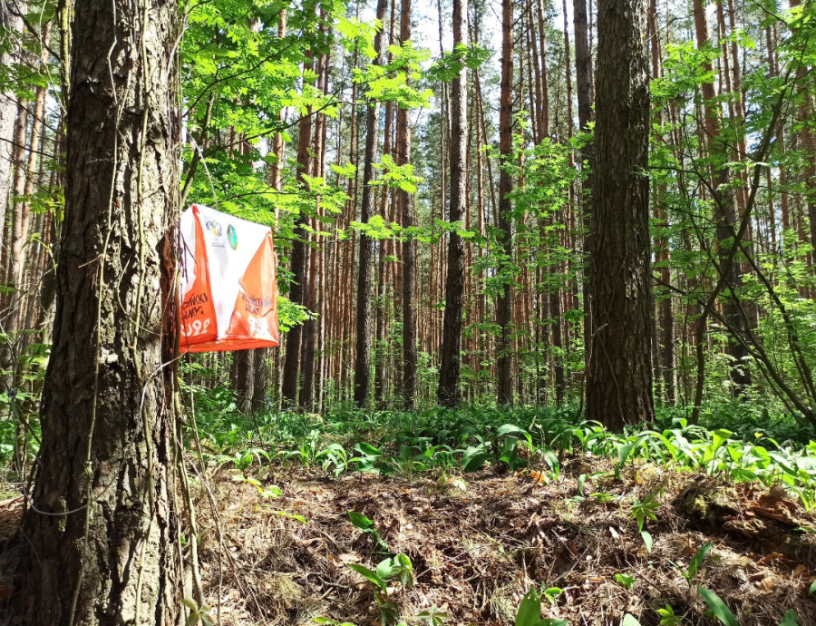 Спортивное ориентирование - Солотча велокросс - фото2