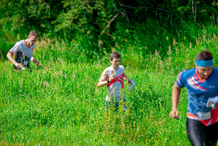 Спортивное ориентирование - Владимир кроссовые до 15 до 17 до 19 до 21 до 24 лет - анонс-фото1