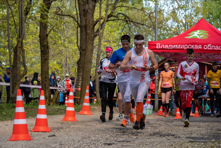 Спортивное ориентирование - Владимир кроссовые до 15 до 17 до 19 до 21 до 23 лет - фото1