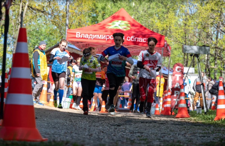 Спортивное ориентирование - Владимир кроссовые до 15 до 17 до 19 до 21 до 23 лет - фото2