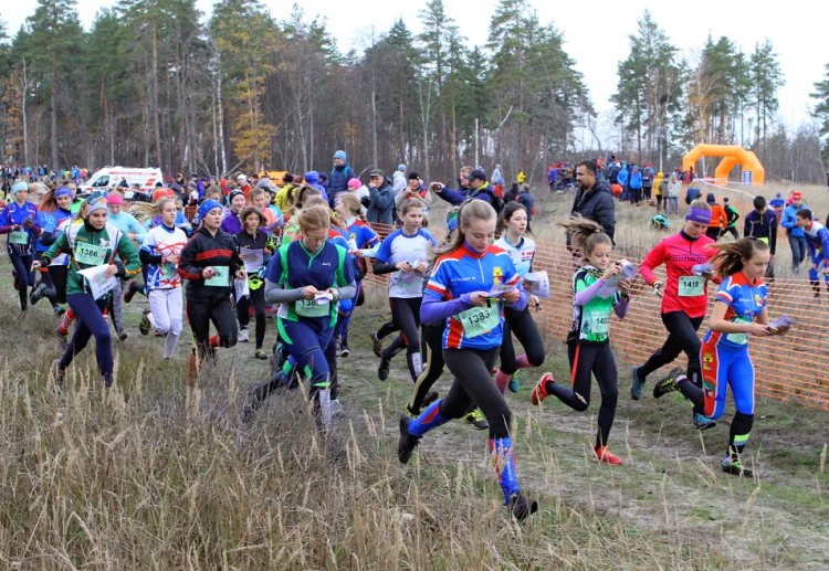 Спортивное ориентирование - Воронеж - кросс до 17 лет до 21 года - анонс-фото1