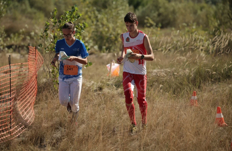 Спортивное ориентирование - Воронеж - кросс до 17 лет до 21 года - фото1