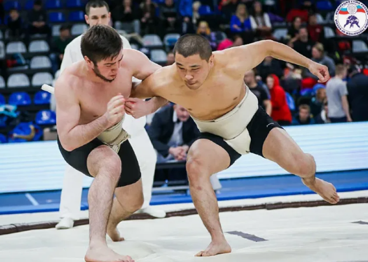 Сумо - Орел 2024 - до 22 лет до 24 лет - анонс-фото1