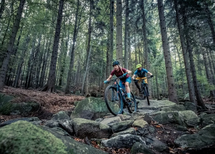 Велоспорт маунтинбайк - Юкки кросс-кантри и шорт-трек - фото4