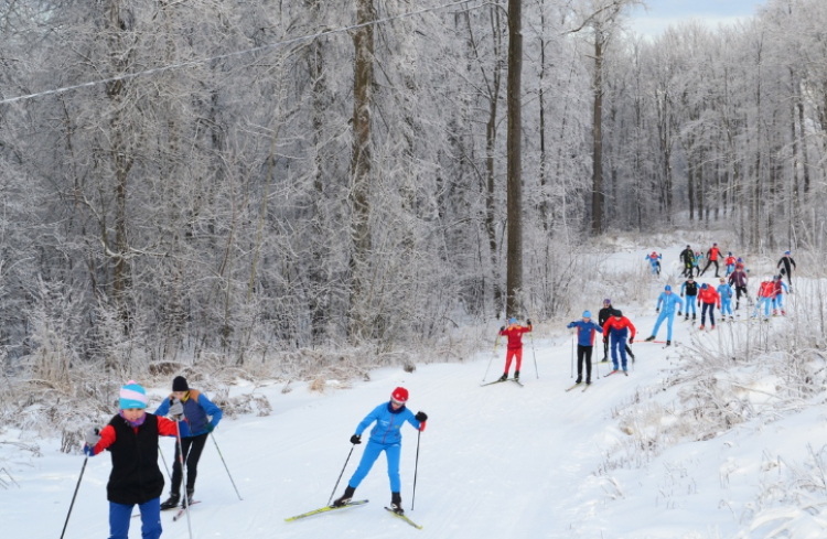 Всероссийская акция Спортивная зима 2022 - фото4