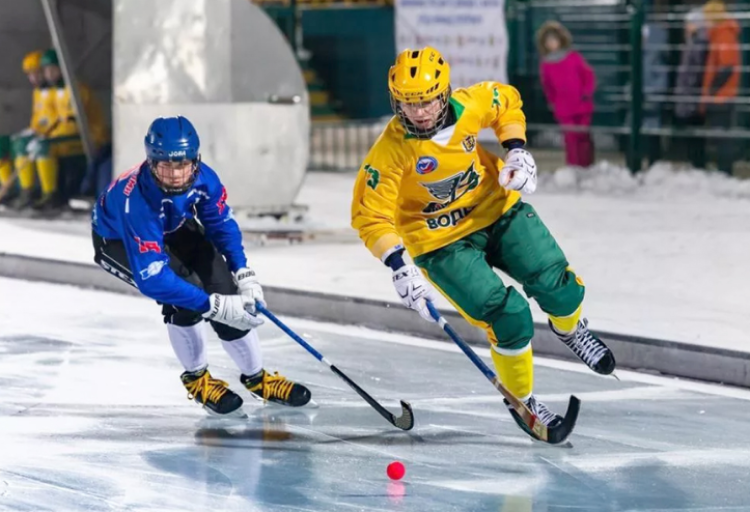 Зимняя Спартакиада учащихся - хоккей с мячом - фото-заставка1