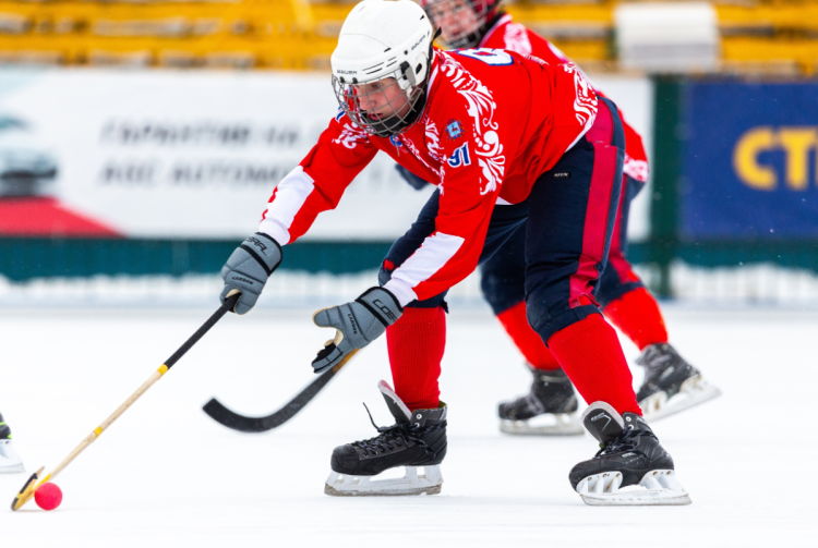 Зимняя Спартакиада учащихся - хоккей с мячом - фото-заставка6
