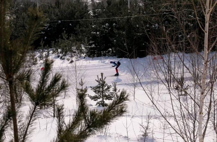 Зимняя Универсиада 2024 - спортивное ориентирование - фото16